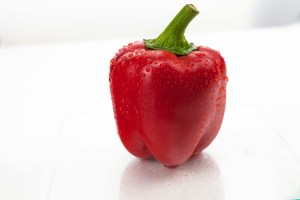 pimiento morron fruto